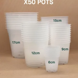 Pack de 50 Pots Transparents pour Plante