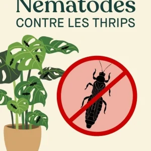 Nématodes Anti-Thrips – Nématodes en poudre contre les larves de thrips