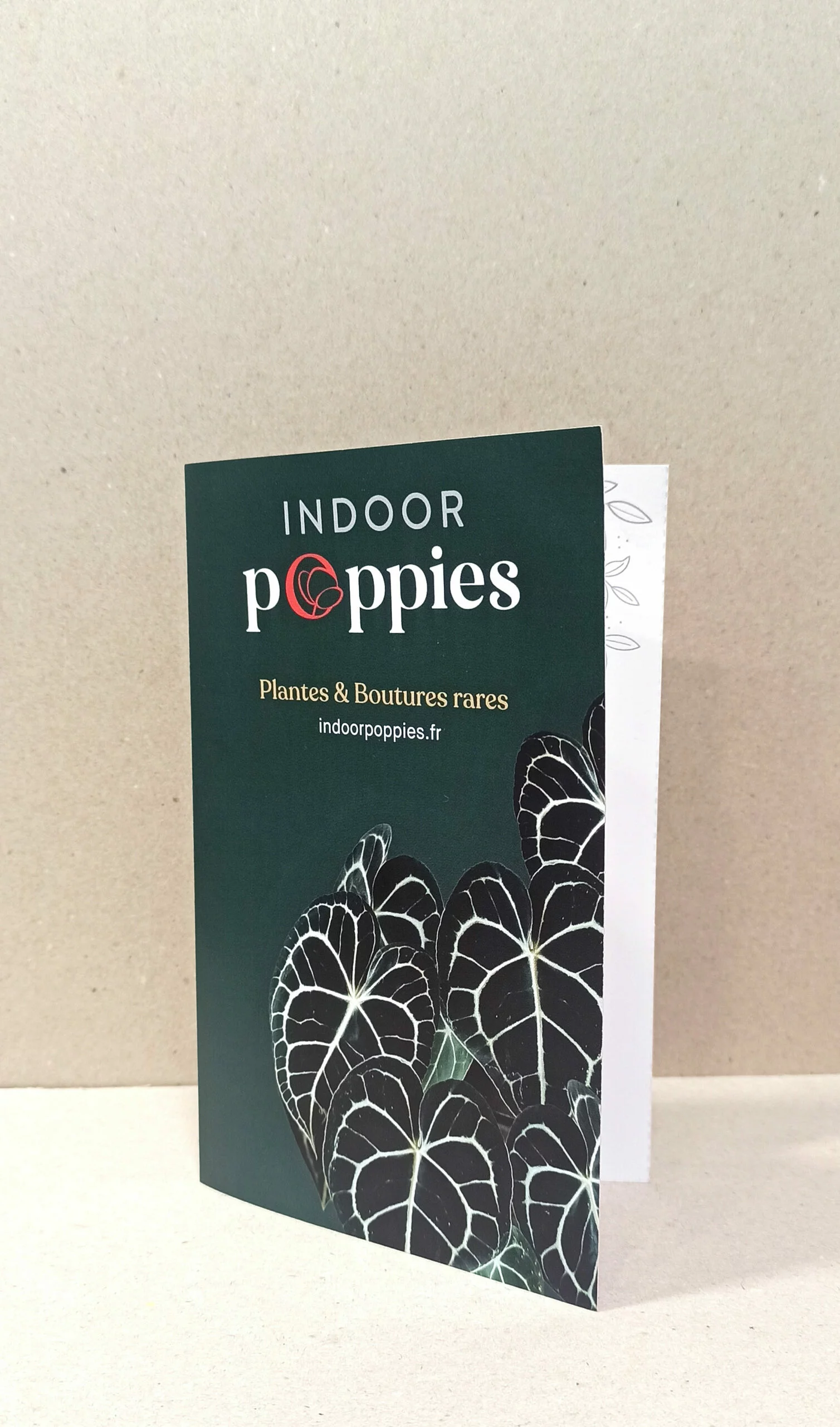 Carte cadeau – Image 4