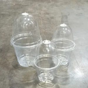 Pots de Semis transparent ronds avec Couvercles dôme