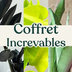Coffret Plantes Increvables