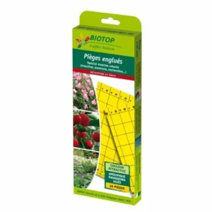 Pièges englués chromatiques jaunes