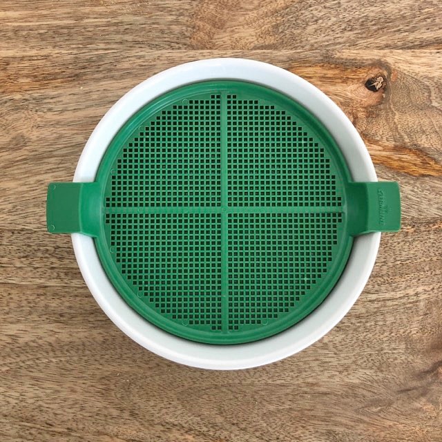 Coupelle de germination pour graines à mucilage – Image 2