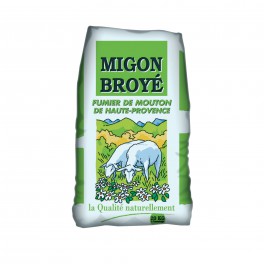 Migon Broye