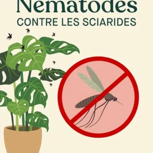 Nématodes Anti mouches de Terreau – Anti Sciarides