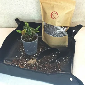 Tapis de Rempotage pour plantes