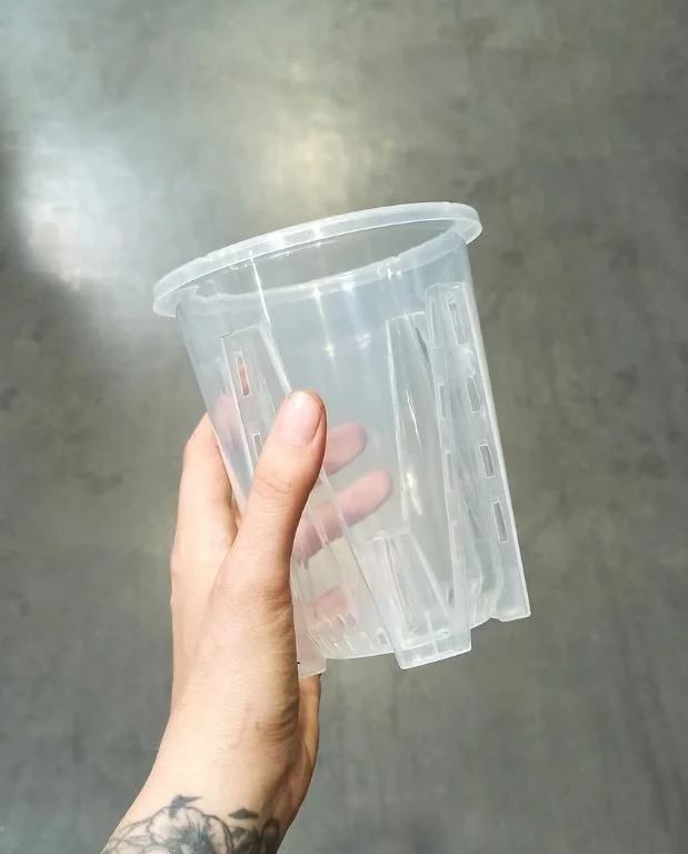 Pot Transparent profond pour Aracées – Parois Micro-Perforées