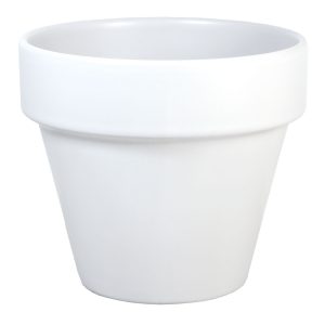 Pot Standard Rainbow