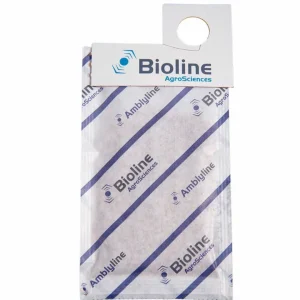 Sachet anti Thrips – Amblyseius Cucumeris