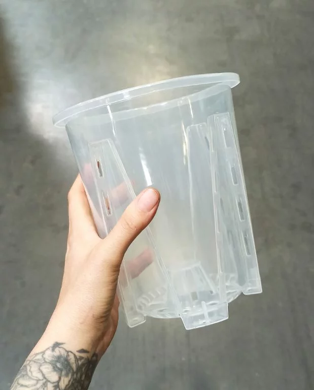 Pot Transparent profond pour Aracées – Parois Micro-Perforées – Image 3