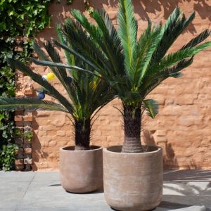 M-Terra Crafted ligne Artisanale rond