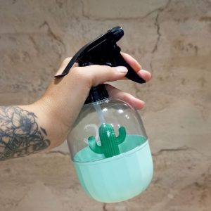 Vaporisateur pour plantes d&rsquo;intérieur 500ml Cactus