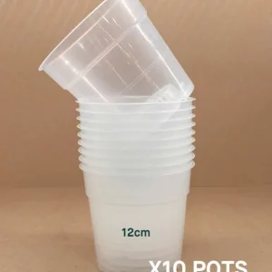 Pack de 10 Pots Transparents pour Plante