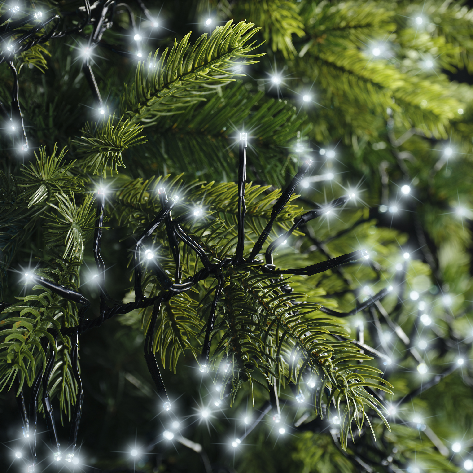 Guirlande Grappe (câble noir) – Image 4