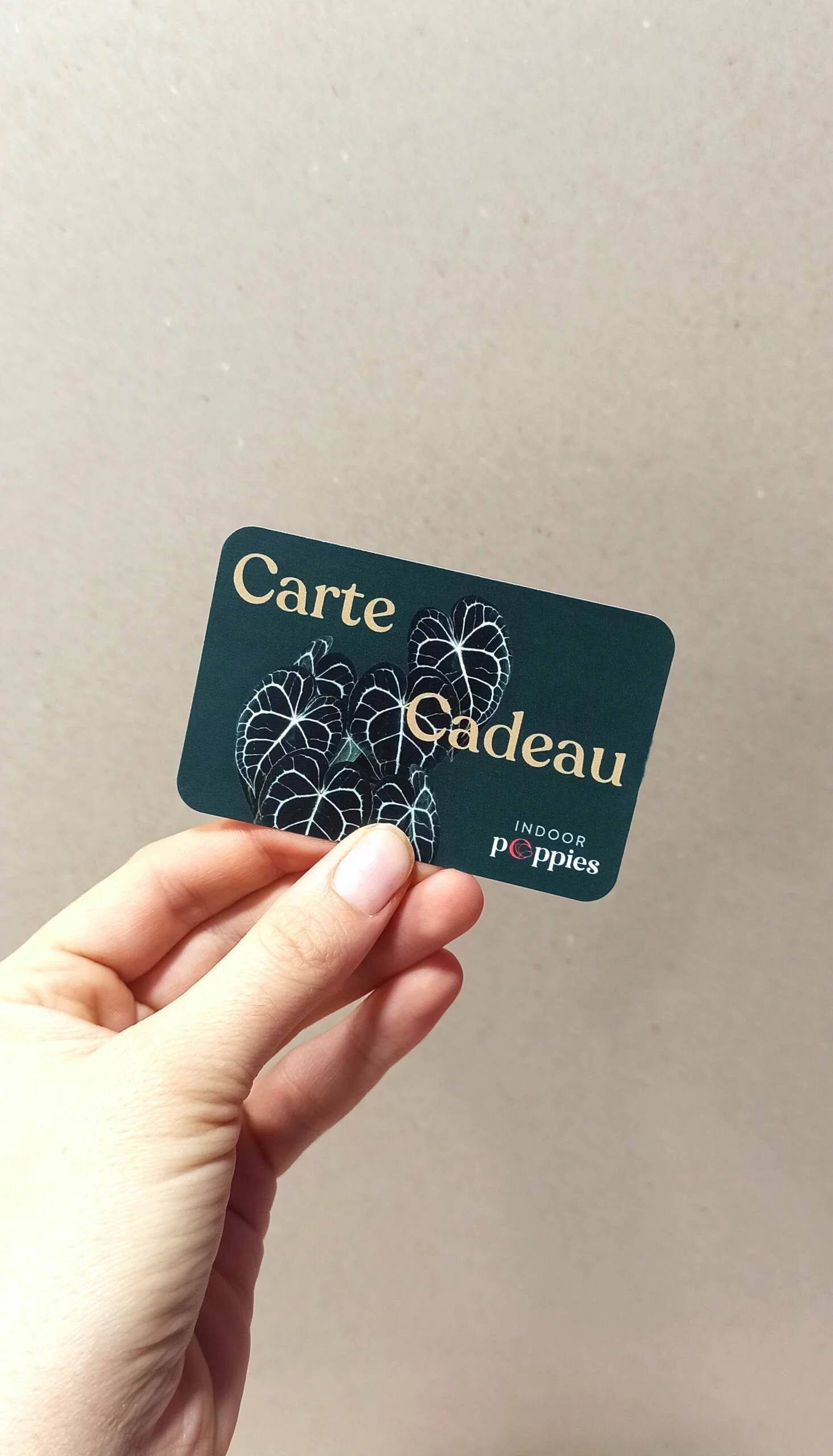 Carte cadeau