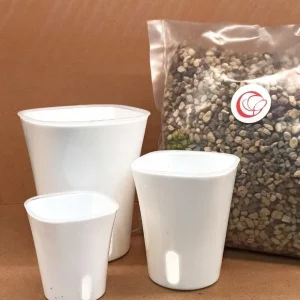 Kit hydroponique – Hydroculture