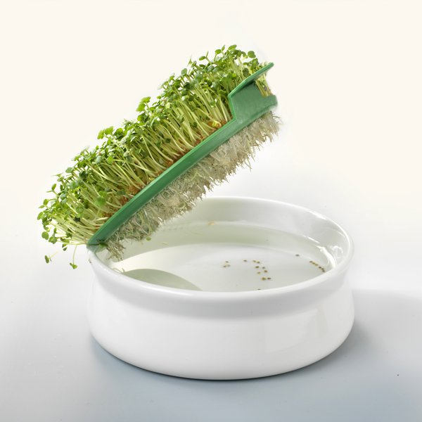 Coupelle de germination pour graines à mucilage – Image 4