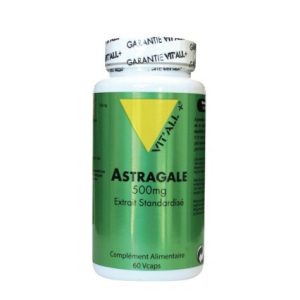 Astragale 500 mg – 60 gélules Végétales