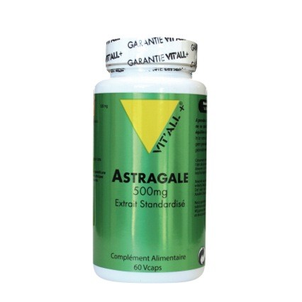 Astragale 500 mg – 60 gélules Végétales