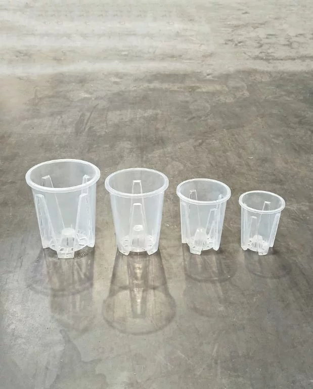 Pot Transparent profond pour Aracées – Parois Micro-Perforées – Image 7