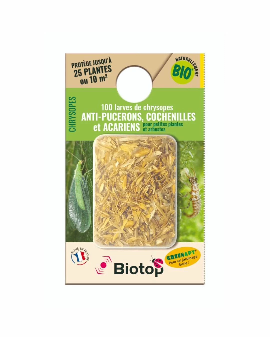 100 larves Chrysopes contre les Pucerons, Cochenilles et Acariens