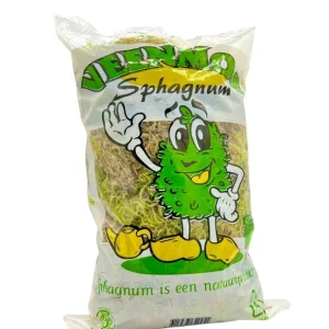 Sphaigne Vivante – Mousse de Sphaigne pour plante Veenmos