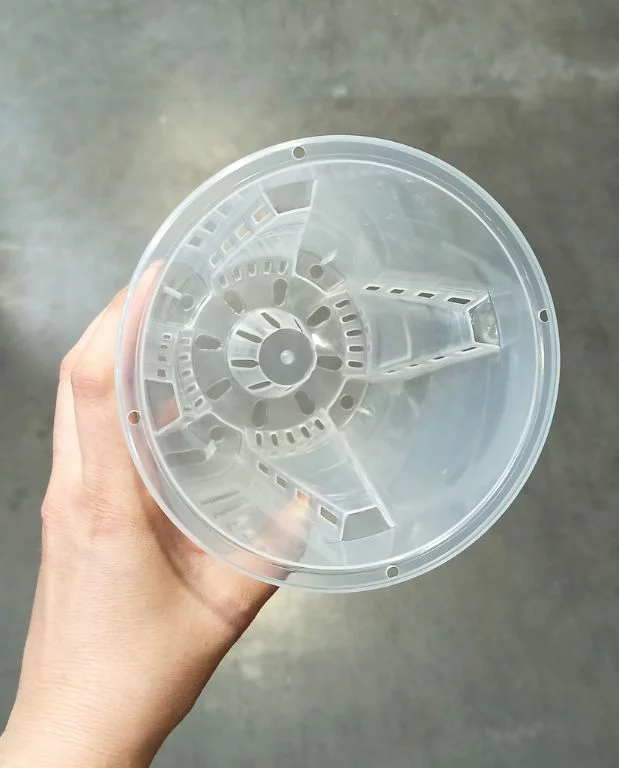 Pot Transparent profond pour Aracées – Parois Micro-Perforées – Image 6