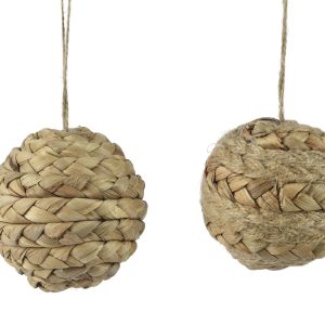 Boule de Noel Jacinthe d&rsquo;eau