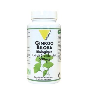 Ginkgo Biloba bio Extraits standardisés 500 mg – 60 gélules végétales