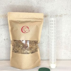 Kit Tuteur Sphaigne et Scotch velcro