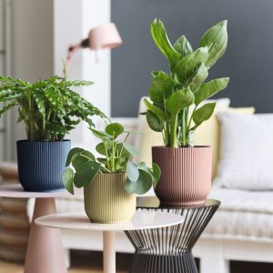 Cache Pot Plastique Vibes fold