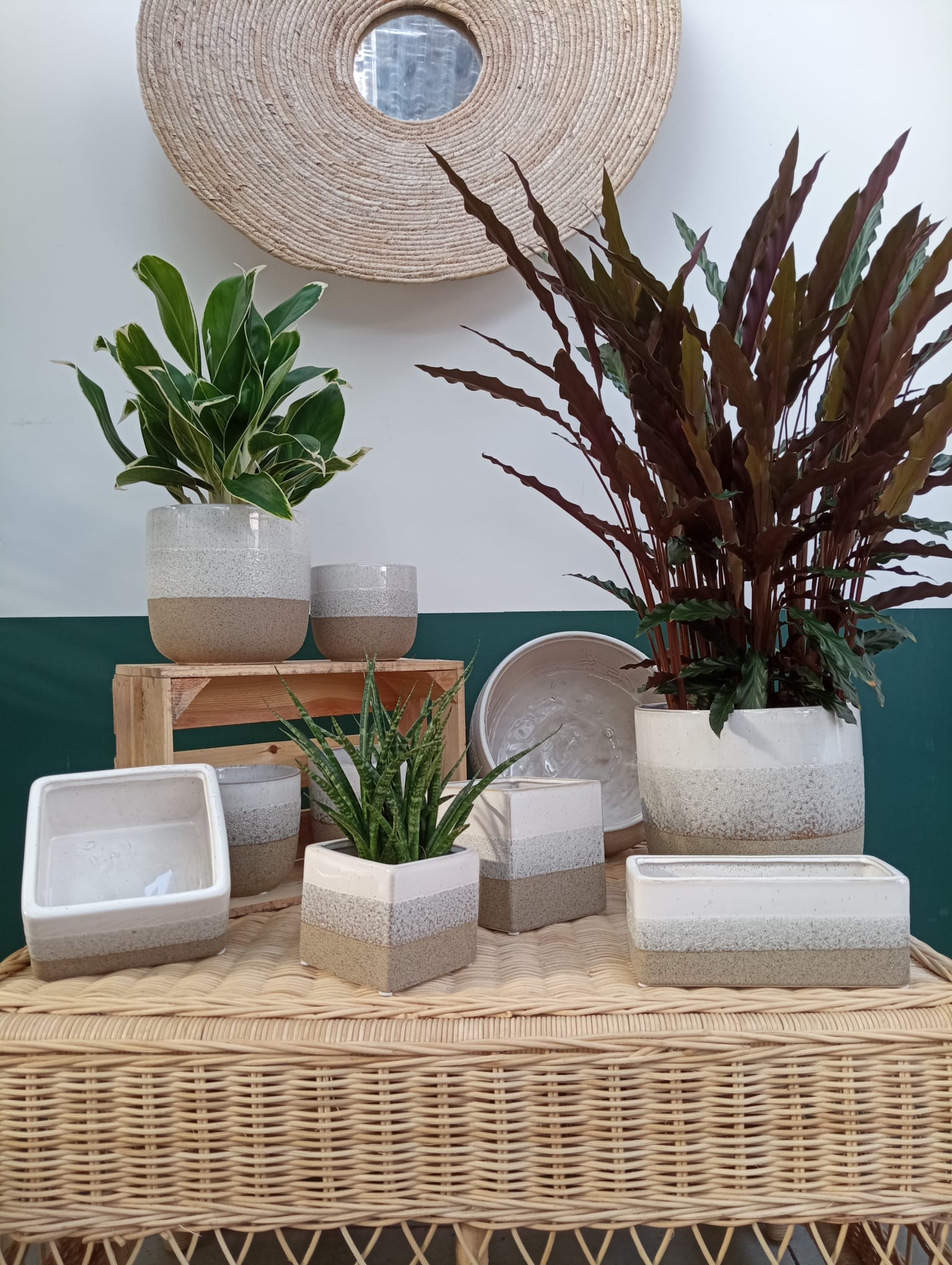 Cache Pot Sandor rond – Image 3