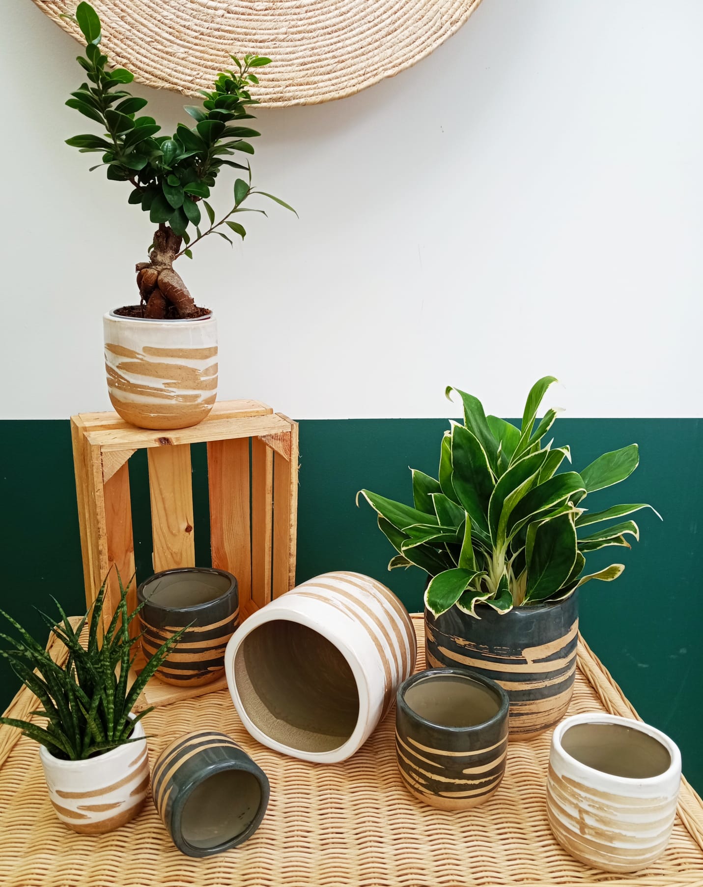 Cache Pot Gaia noir – Image 3