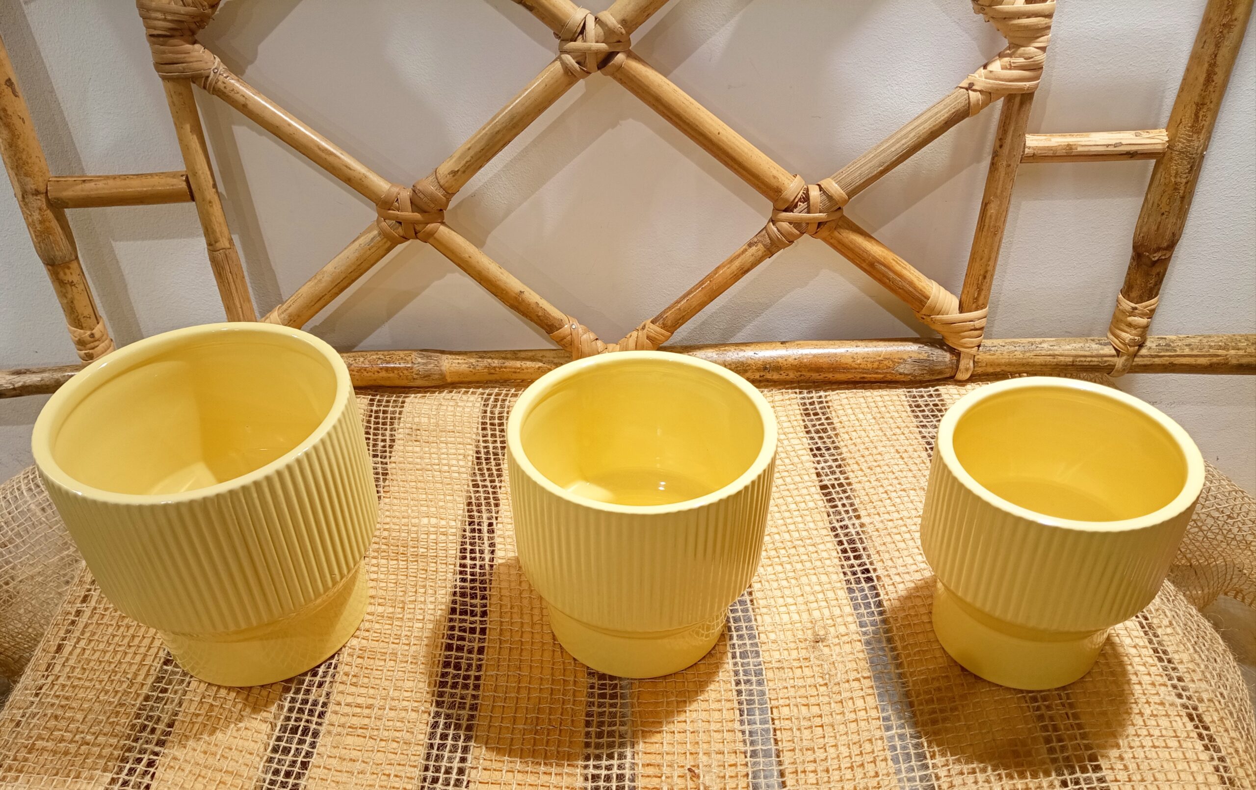 Cache Pot Caliente jaune – Image 3