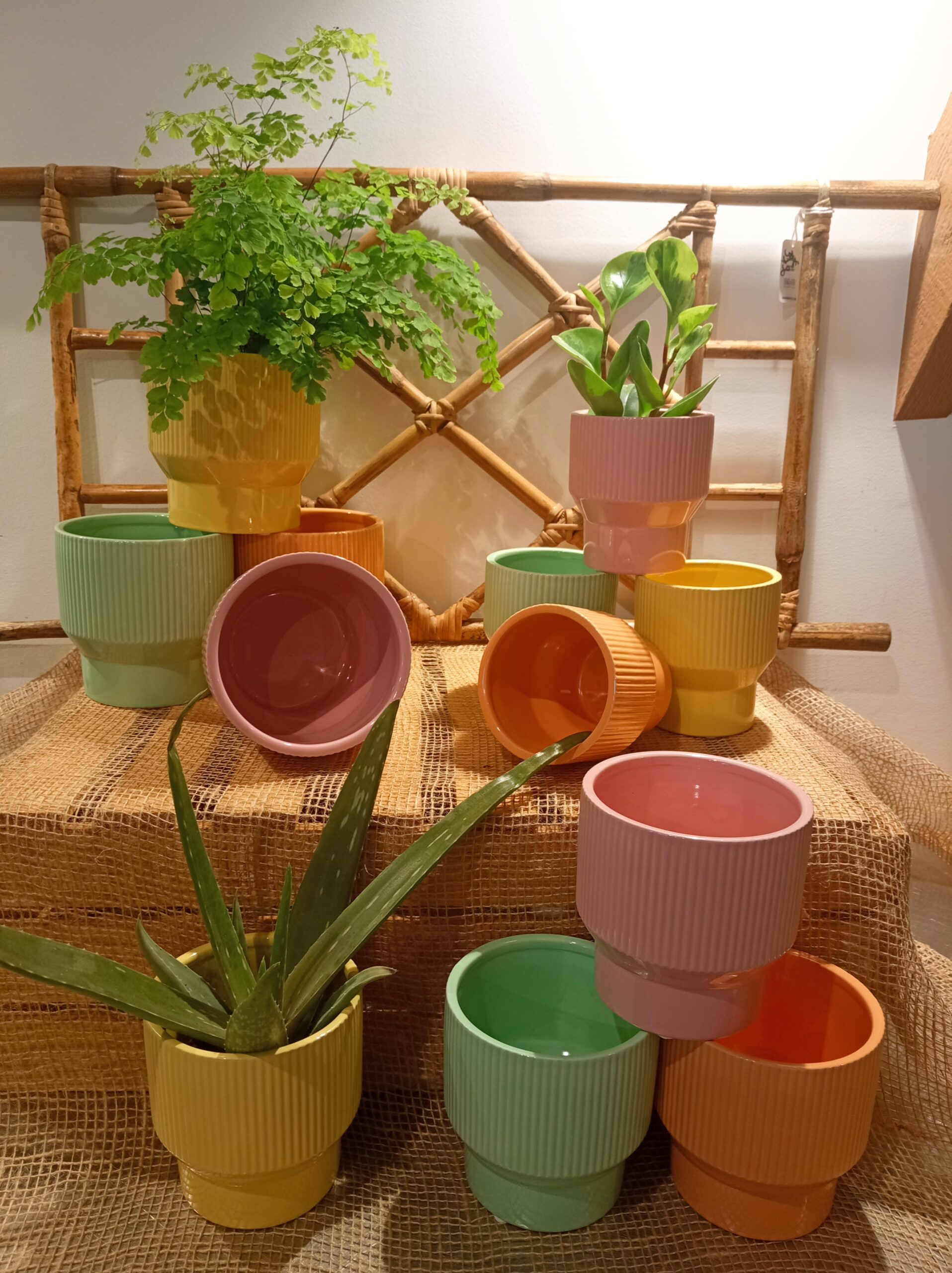 Cache Pot Caliente jaune – Image 2