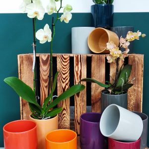 Cache Pot Cylindrique