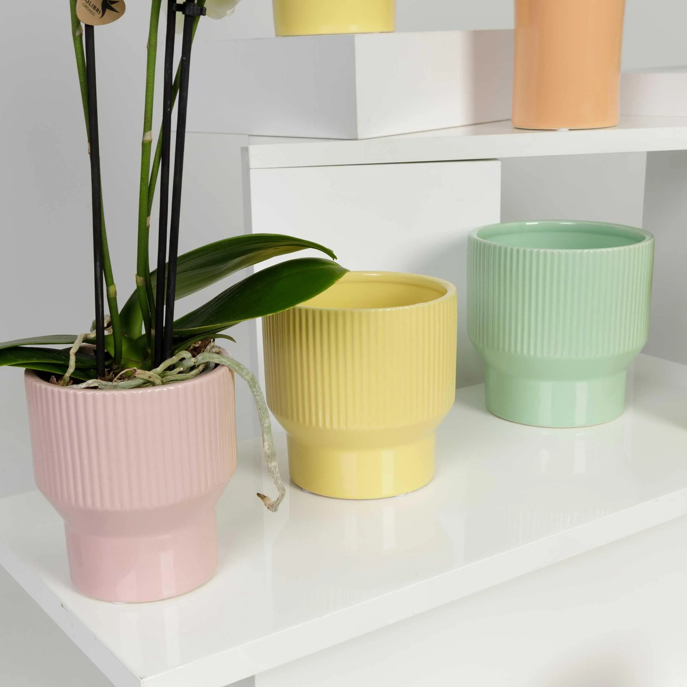 Cache Pot Caliente jaune – Image 5