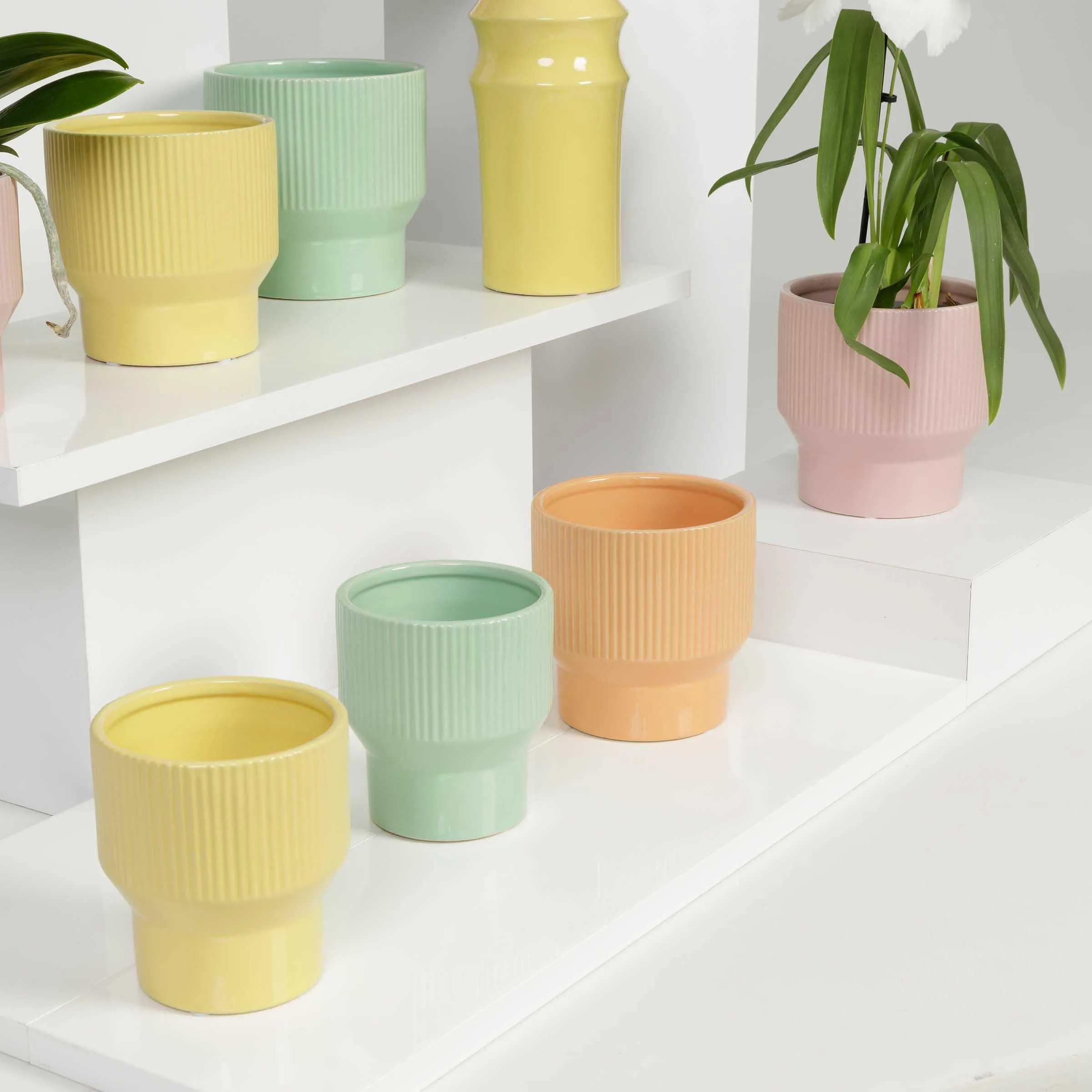 Cache Pot Caliente jaune