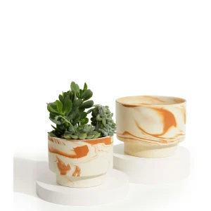 Cache Pot coupe Albane