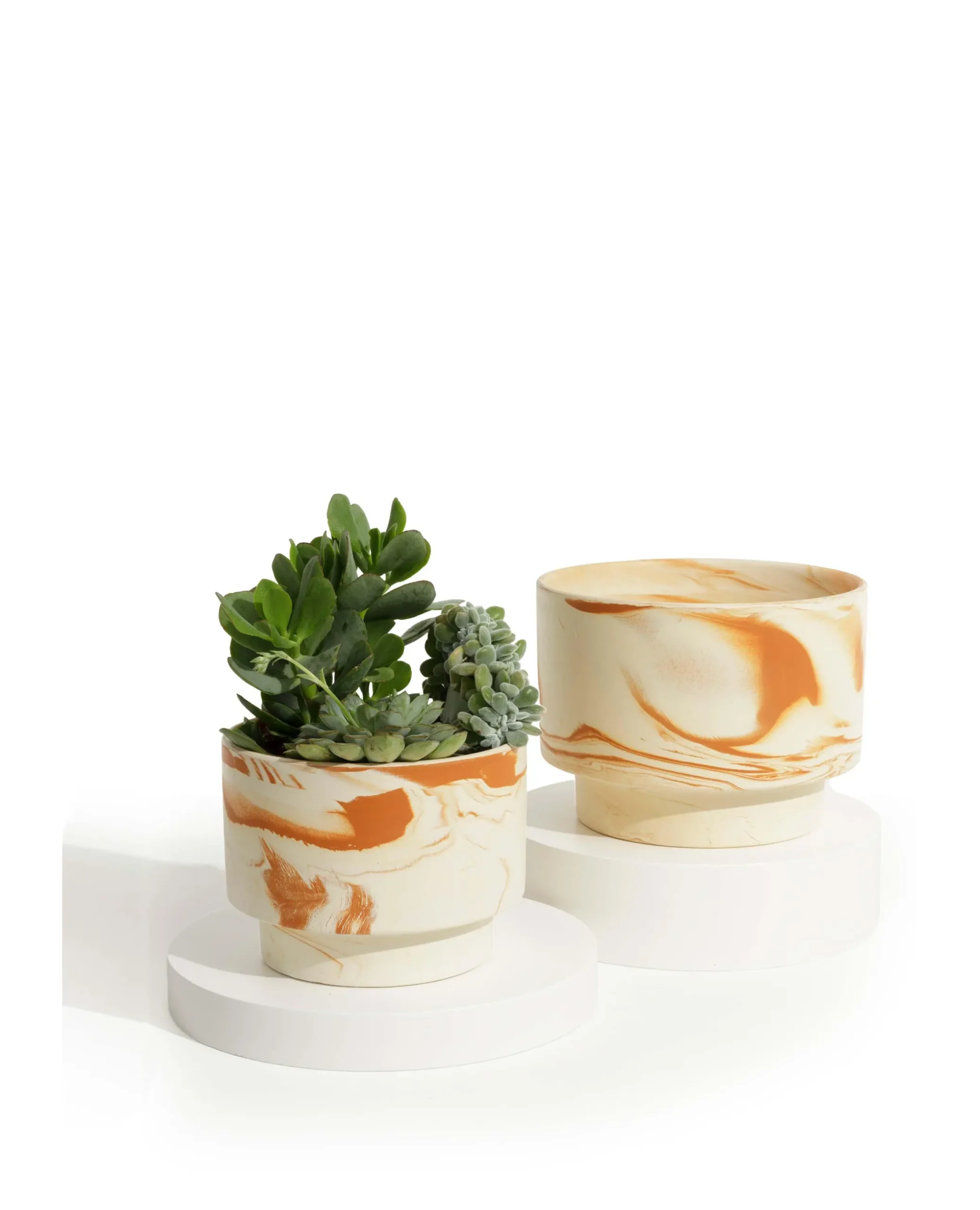 Cache Pot coupe Albane