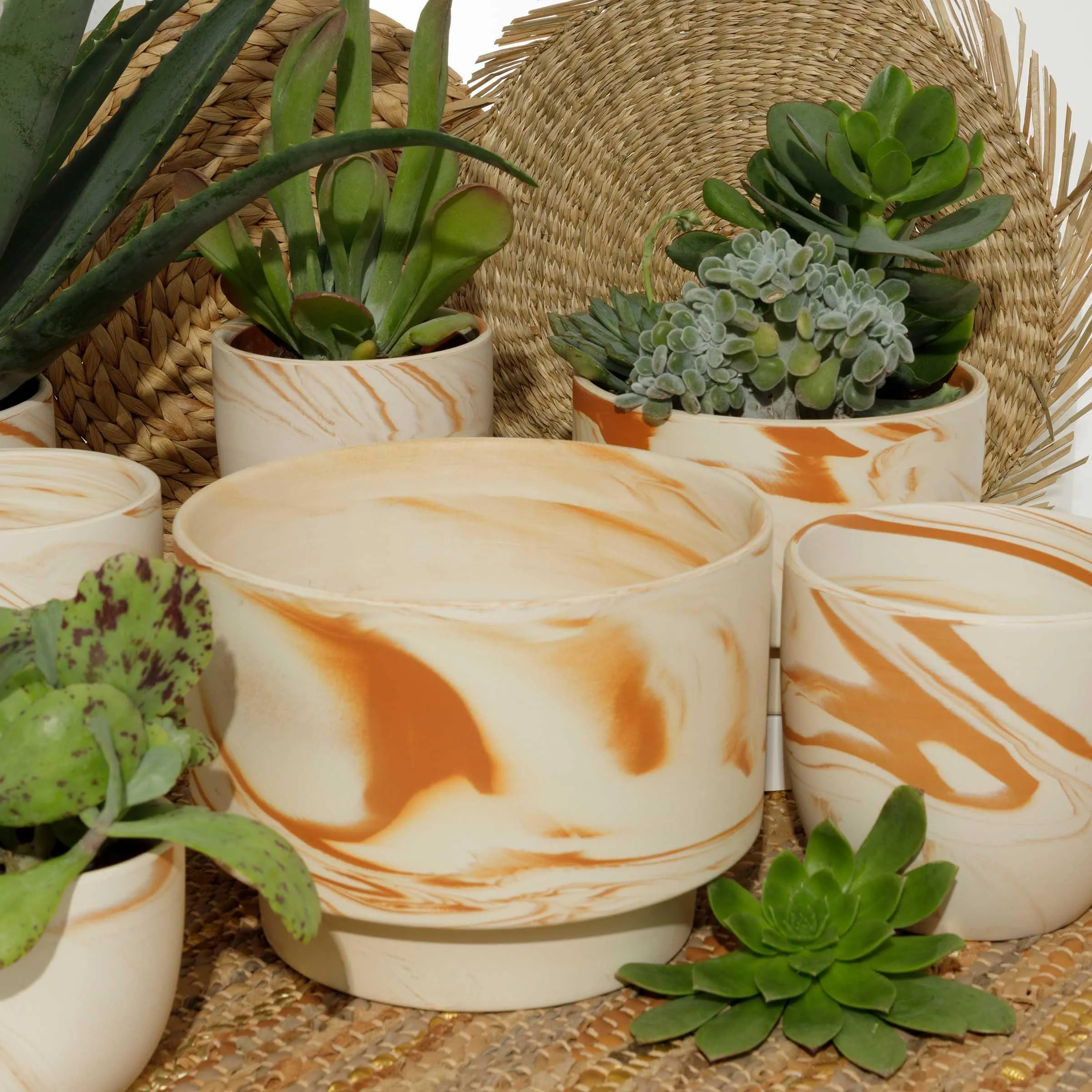 Cache Pot coupe Albane – Image 2