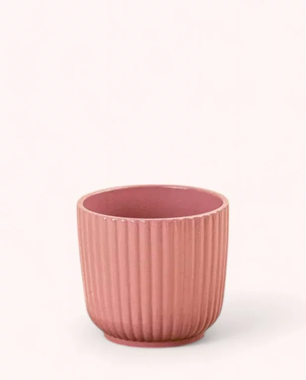Cache-pot Céramique Rose