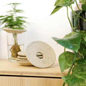 Coupelle d&rsquo;hydroculture et germination – Pepin