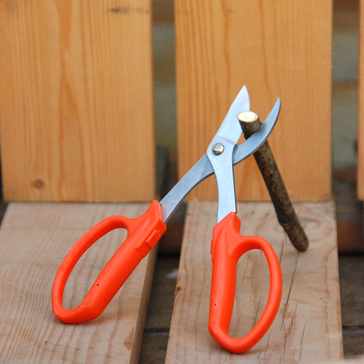Ciseaux de jardinier à lames rondes – Image 2