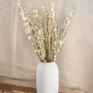 Une botte de Delphinium Séché Naturel Blanc
