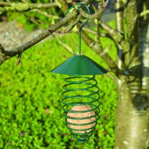 Spirale pour boule de graisse, vert foncé, avec toit