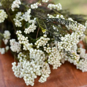 Une botte de Fleurs de Riz naturel