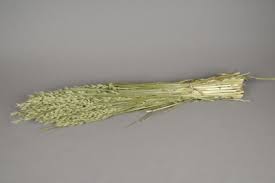 Une botte d&rsquo;Avoine Séchée Naturelle