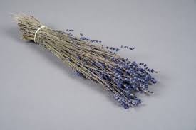 Une botte de Lavande Séchée
