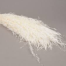 Une botte de Munni Séché Blanc